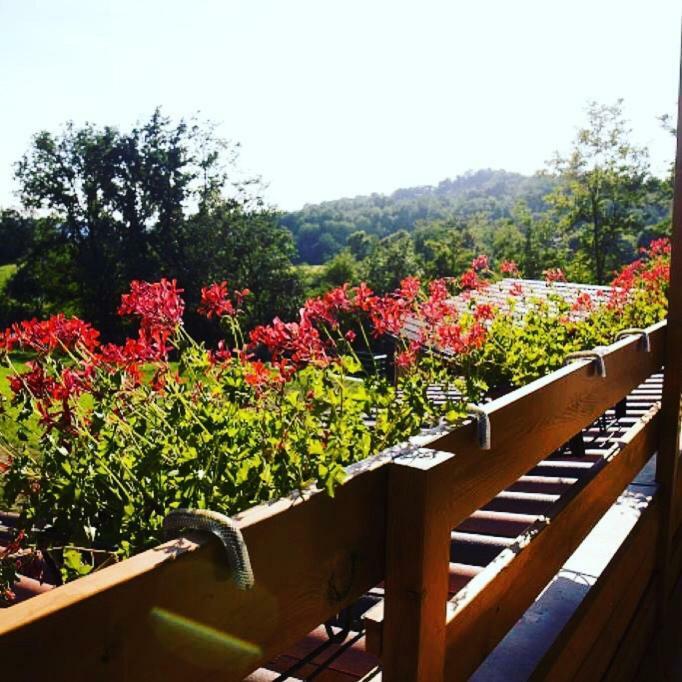 Ca' Del Cuco Bed & Breakfast Barzana Exterior photo